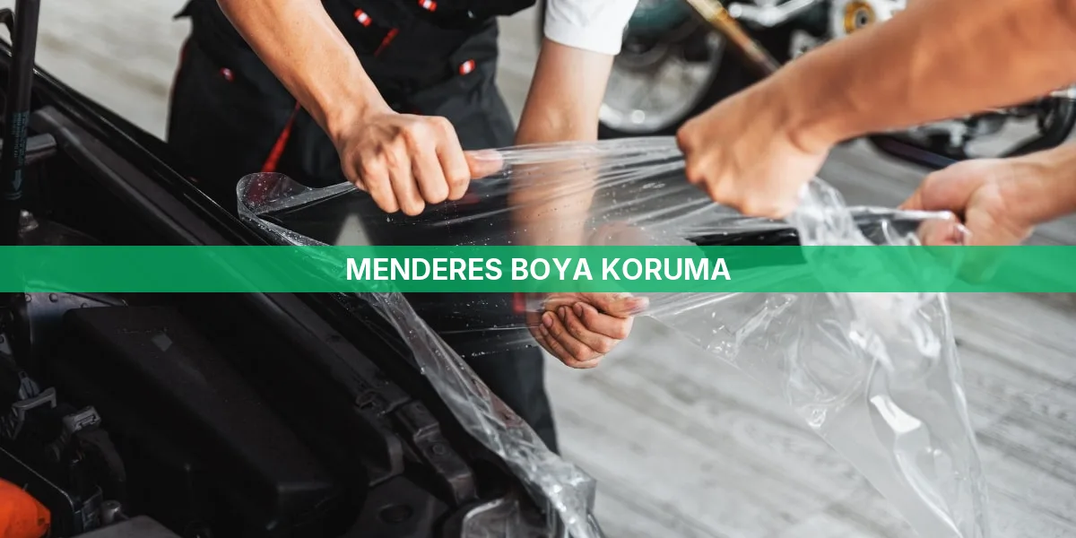 Menderes Boya Koruma
